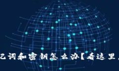 忘记TP钱包助记词和密钥怎