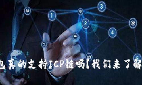 tp钱包真的支持ICP链吗？我们来了解一下！