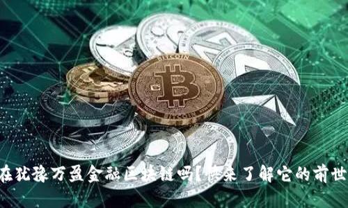 你还在犹豫万盈金融区块链吗？快来了解它的前世今生！
