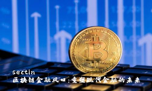 sectin
区块链金融风口：重塑现代金融的未来