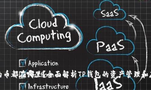 TP钱包的币都在哪里？全面解析TP钱包的资产管理和存储机制