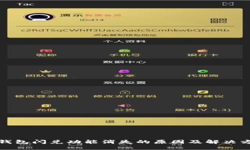 TP钱包闪兑功能消失的原因及解决方案